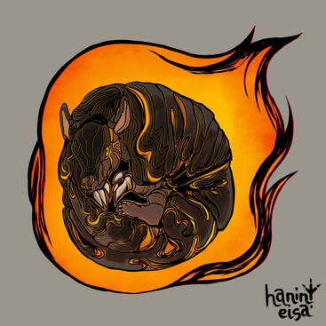 Fire Armadillo Fire Armadillo